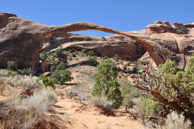 Ørken, Arizona, Canyon, Landskab