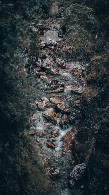Free Landscape Nature photo and picture
