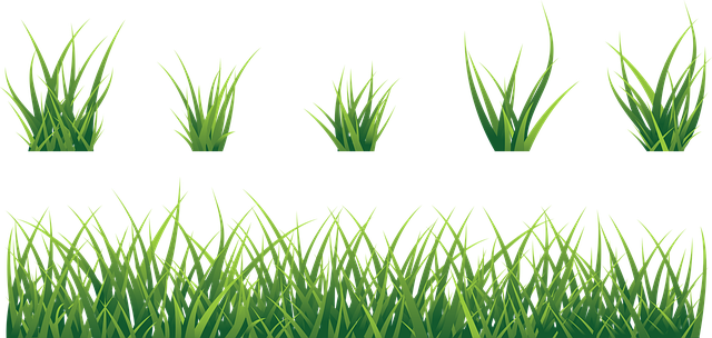 Hierba, La Hierba Conjunto, Naturaleza