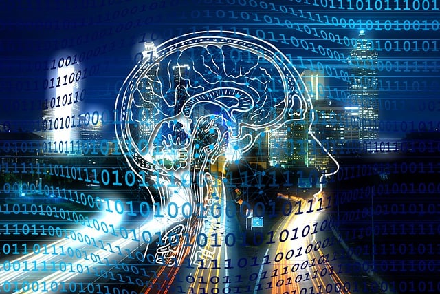 Download free HD stock image of Transformation Web Free transformation web brain illustration