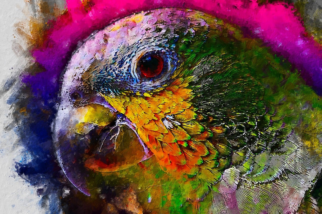 Download free HD stock image of Parrot Animals Free parrot nature animals illustration