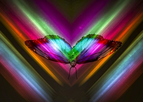 Free Butterfly Abstract illustration and picture