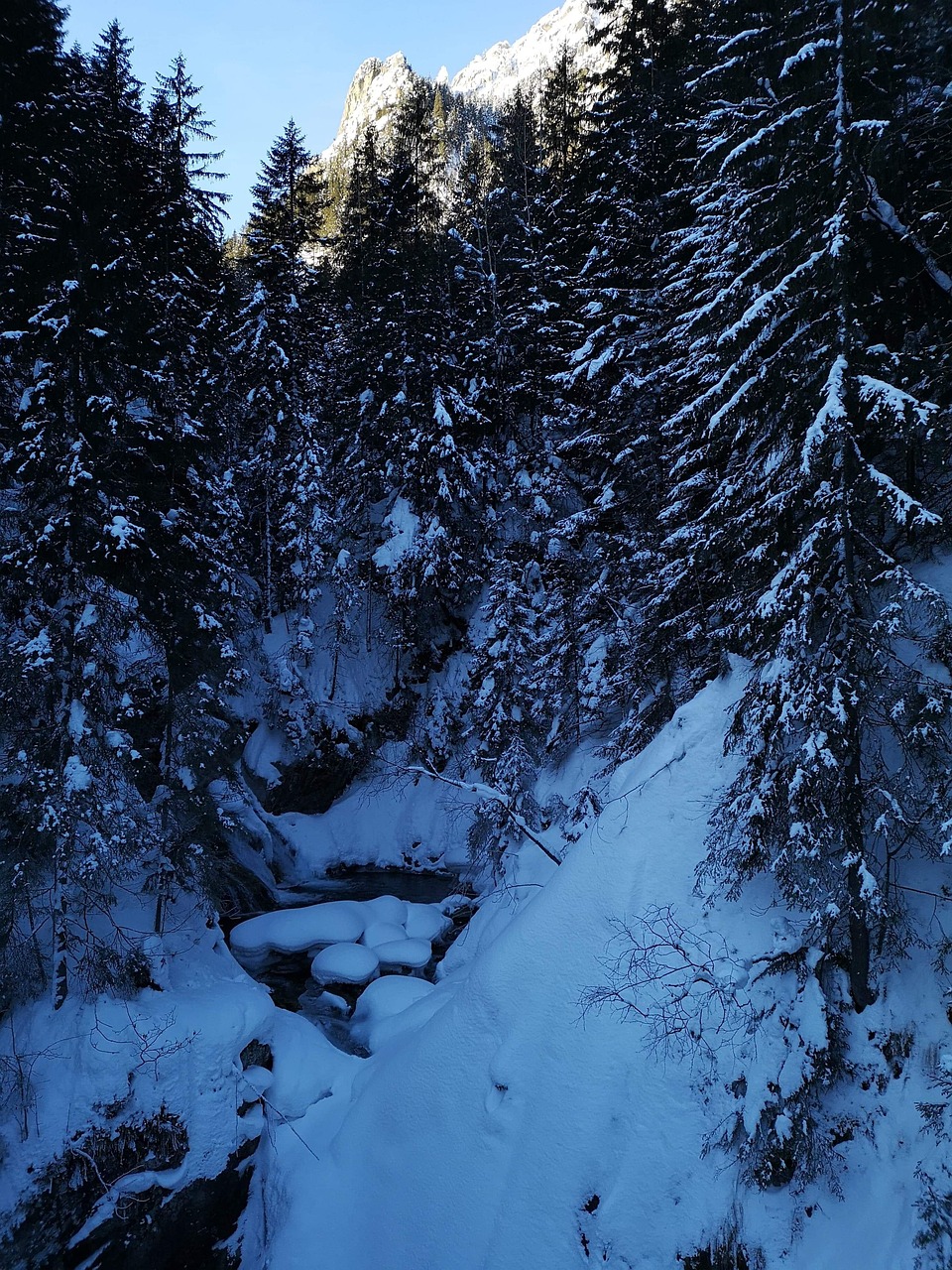 Free Winter Mountains photo and picture