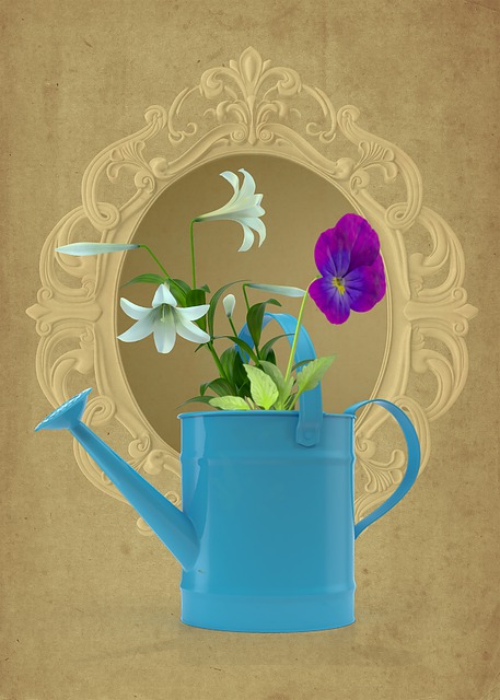 Free Watering Can Plant illustration and picture
