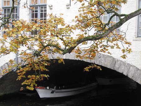 Brujas, Árbol, Bélgica, Ciudad