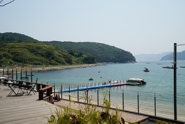 Free Sea Cafe photo and picture