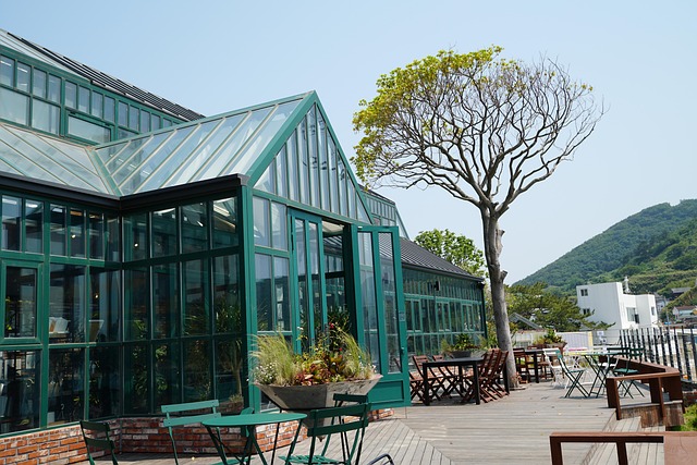 Free Sea Cafe photo and picture