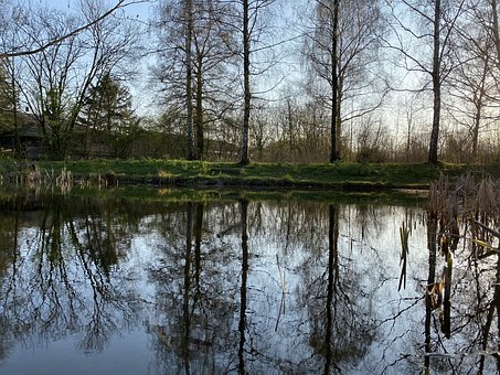 Free Spring Lake photo and picture