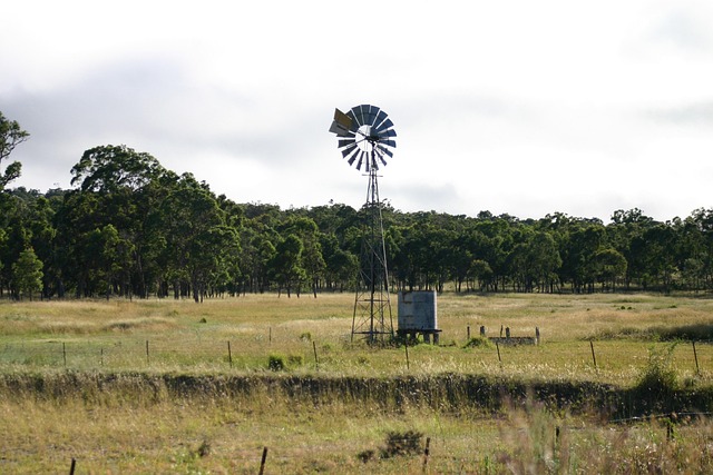Free Windmill Wind photo and picture