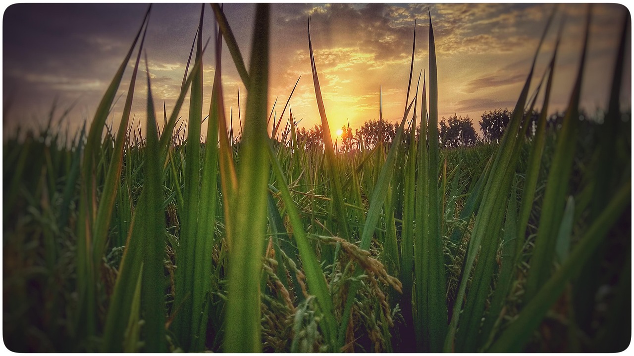 Heure Du Coucher Soleil Images - Photo gratuite sur Pixabay - Pixabay