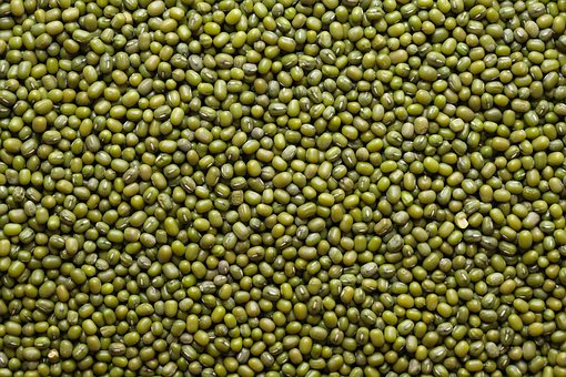 Free Mungo Bean Healthy Food photo and picture