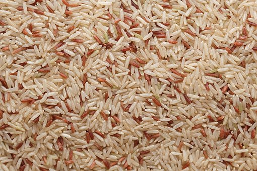 Free Brown Rice Rice photo and picture