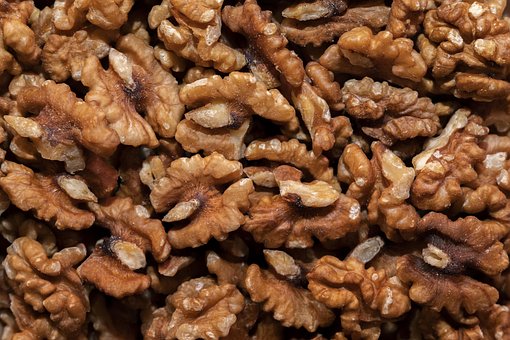 Free Walnut Nuts photo and picture