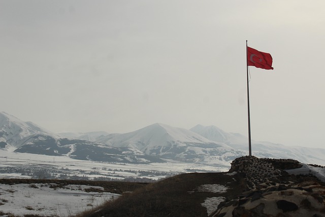 Free Flag Homeland photo and picture