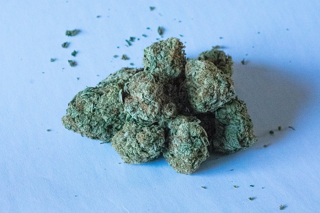 Free Weed Pot photo and picture
