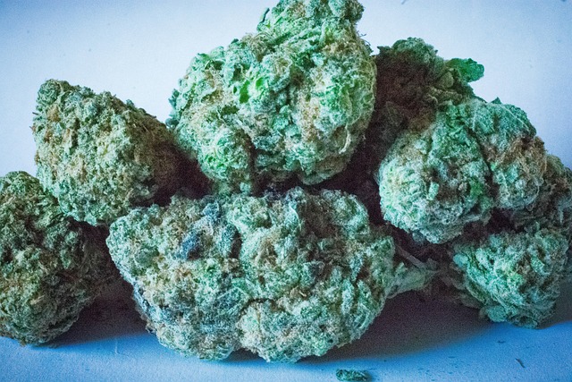 Free Weed Pot photo and picture