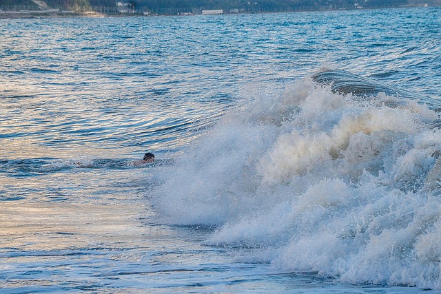 Free Sochi Sea photo and picture