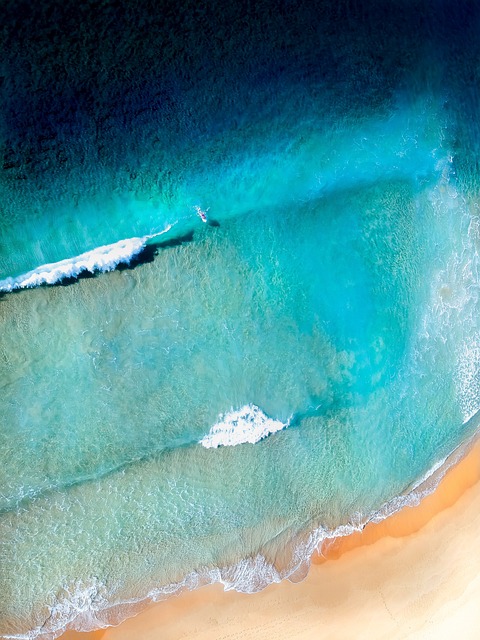Free Beach Nature photo and picture