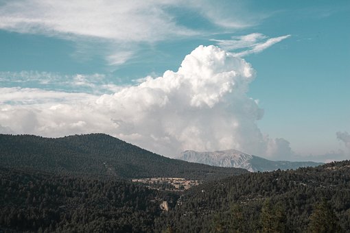 Céu, Selva, Panorama, Céu Azul