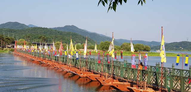 Free Bridge River photo and picture