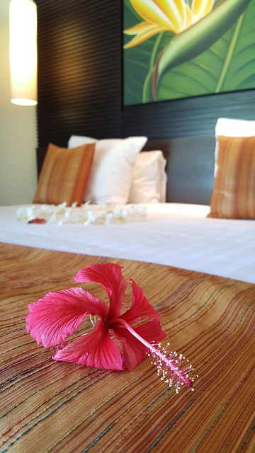 Værelse, Hotel, Indkvartering, Søvn