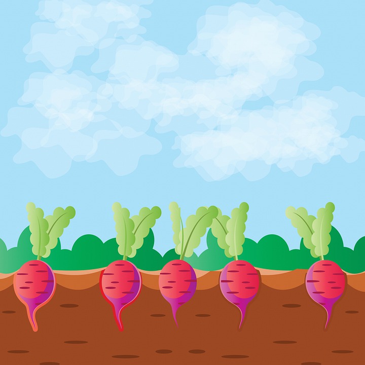 Granja De Fondo Granero Imagen Gratis En Pixabay