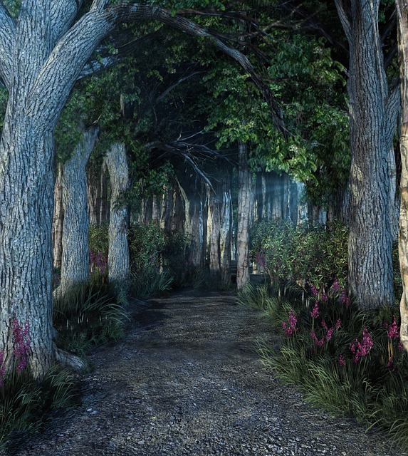 Free forest light landscape illustration