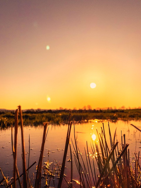 Free Sun Lake photo and picture