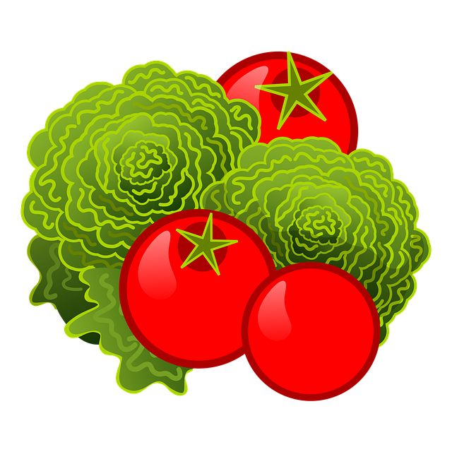 Free illustration vegetables lettuce illustration