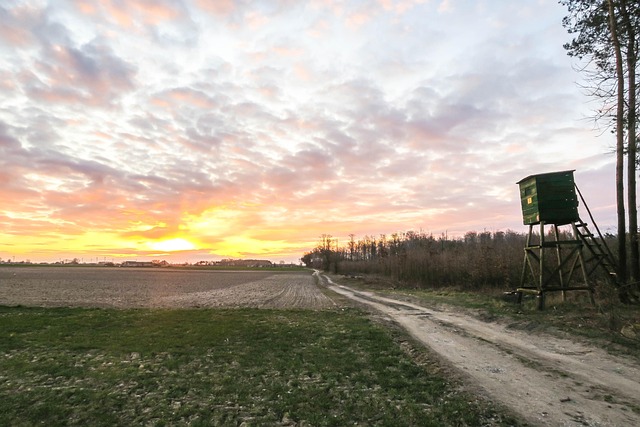 Free Sunrise Fields photo and picture