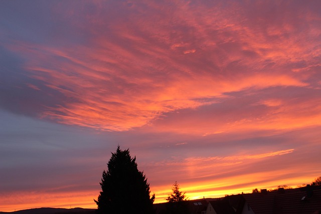 Free Sunrise Morning Mood photo and picture