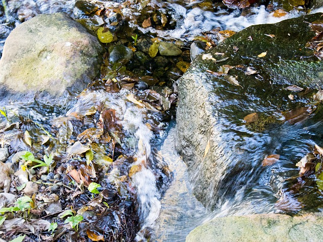 Free Water Serenity photo and picture