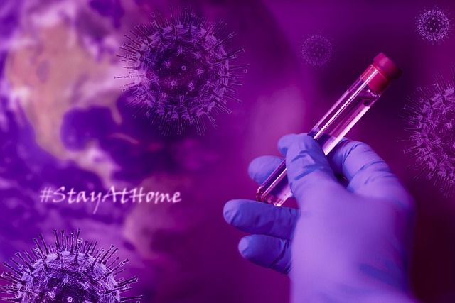 Stay At Home Covid 19 Coronavirus Free Photo On Pixabay Pixabay