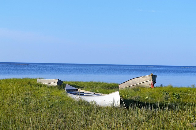 Free Sea Sky photo and picture