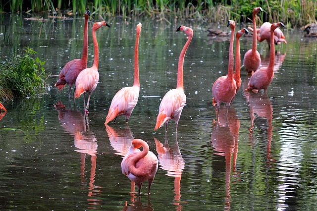 Free Water Nature photo and picture