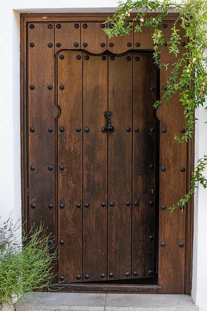 Free Door Wooden photo and picture