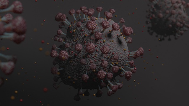 Free covid-19 sars-cov-2 covid illustration