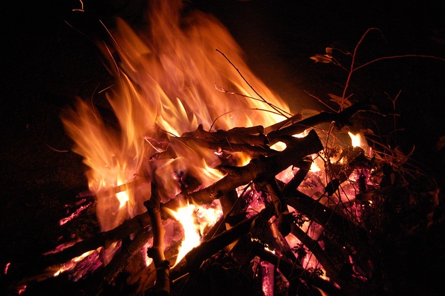 Free Fire Wood photo and picture