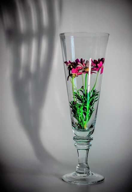 Free Vase Ombre photo and picture