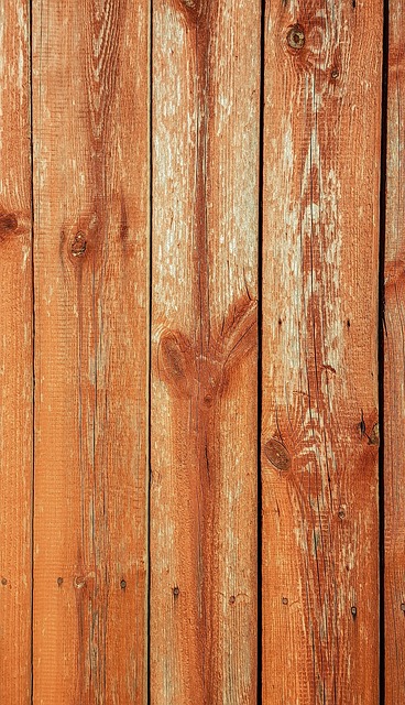 Free Wood Texture Background photo and picture
