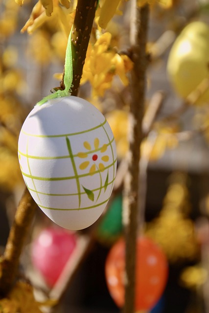 Free Easter Egg Easter photo and picture