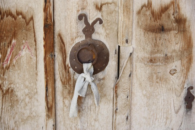 Free Door Door Knocker photo and picture