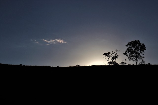 Free Horizon Sun photo and picture