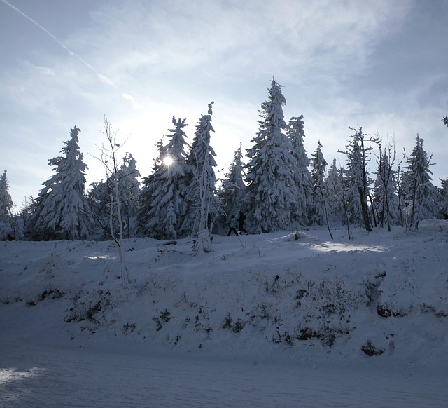Free Winter Runners photo and picture