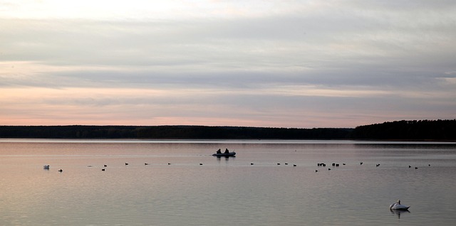 Free Lake Water photo and picture