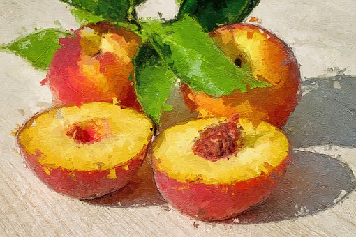 Free Peach Fruit illustration and picture