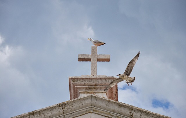 Free Cross Nature photo and picture
