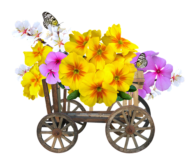 Free spring flowers butterflies illustration