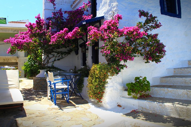 Free Skopelos Flower photo and picture