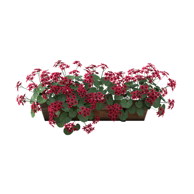 Free flowers box dirt illustration